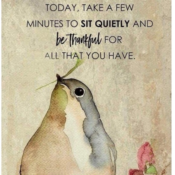 🌿🌸🌿🌸🌿🌸🌿🌸🌿🌸🌿🌸🌿🌸🌿🌸🌿🌸 - Picture 15 of 16